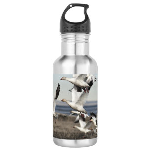 Garrafa Snow Geese Voadora
