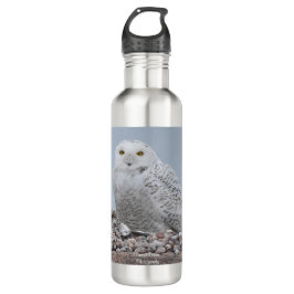 Garrafa Snowy Owl em Snells