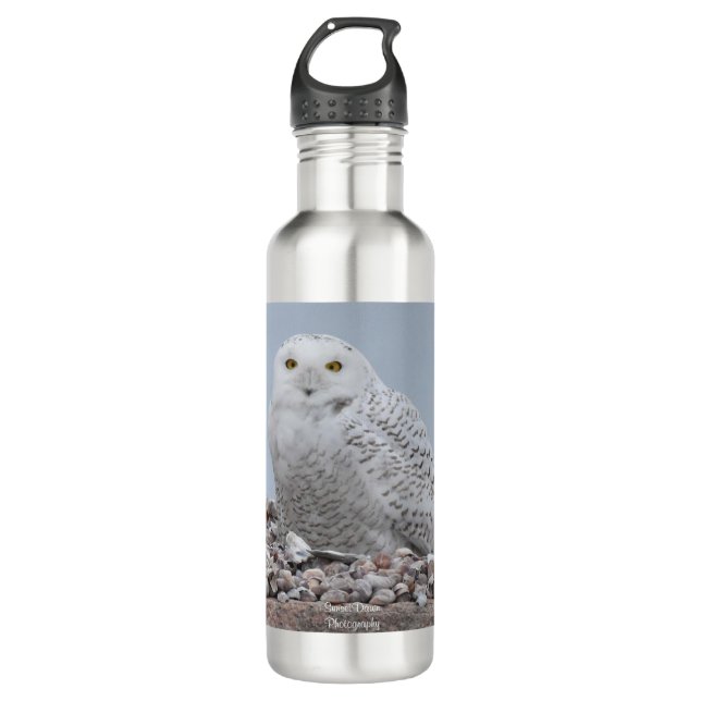 Garrafa Snowy Owl em Snells (Frente)