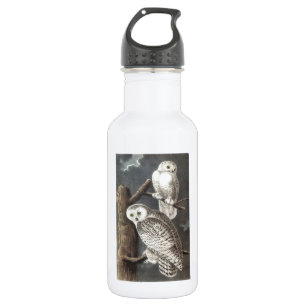 Garrafa Snowy Owl por Audubon