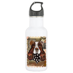 GARRAFA SPRINGER SPANIEL INGLÊS