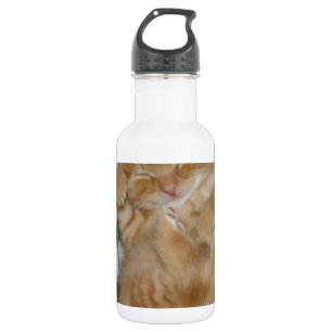 Garrafa Super Fofo Gatinho Ruivo Dormindo