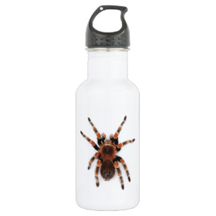 Garrafa Tarantula