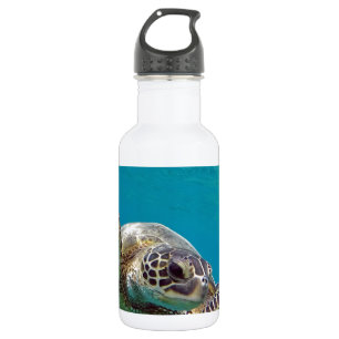Garrafa Tartaruga de mar verde de Havaí - Honu