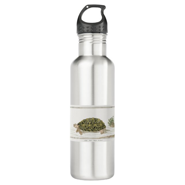 Garrafa Tent Tortoise | Turtle Beach Sea Animal (Frente)