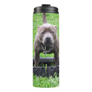 Garrafa Térmica Adulto Masculino Staffordshire Terrier Pronto Para