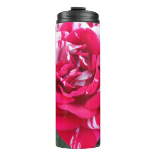 Garrafa Térmica Anicia