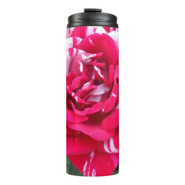 Garrafa Térmica Anicia (Frente)