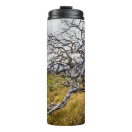 Garrafa Térmica Árvore queimada, Torres del Paine, Chile