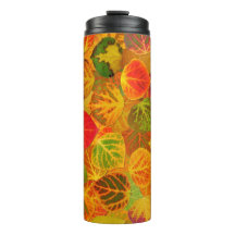 Aspen Deixa Collage Sólido Medley 1