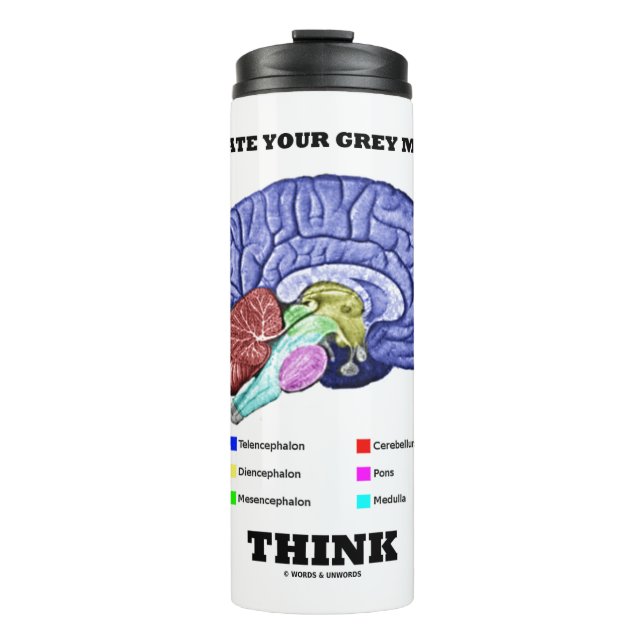 Garrafa Térmica Ative sua Cinza Pense no cérebro anatômico (Frente)