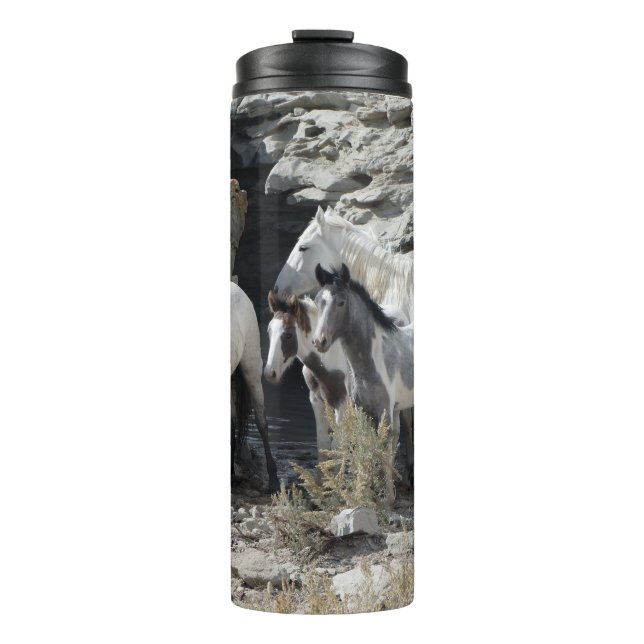 Garrafa Térmica Bacia De Lavagem De Areia, Quebra De Água (Frente)