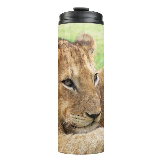 Garrafa Térmica Bebê Tigre - Tumbler personalizado (Frente)