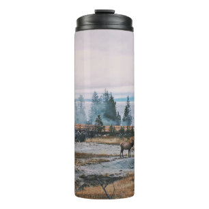 GARRAFA TÉRMICA BEFORE THE SUNSET IN YELLOWSTONE NATIONAL PARK