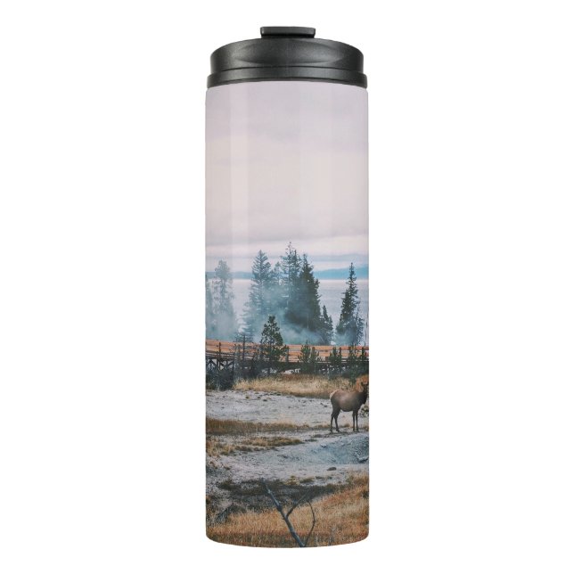 GARRAFA TÉRMICA BEFORE THE SUNSET IN YELLOWSTONE NATIONAL PARK (Frente)