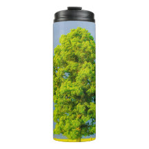 Beleza na Tempestade