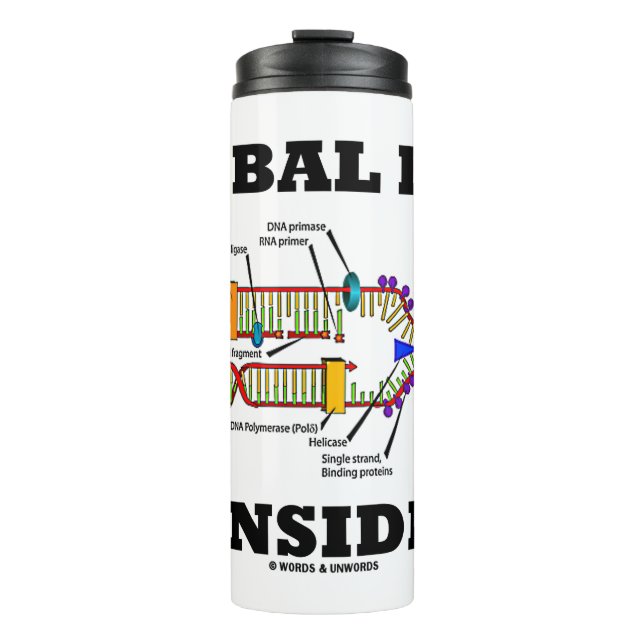 Garrafa Térmica Biorantropologia de replicação do DNA Dentro triba (Frente)