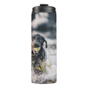 Garrafa Térmica Black Labrador Joga Busca Na Água