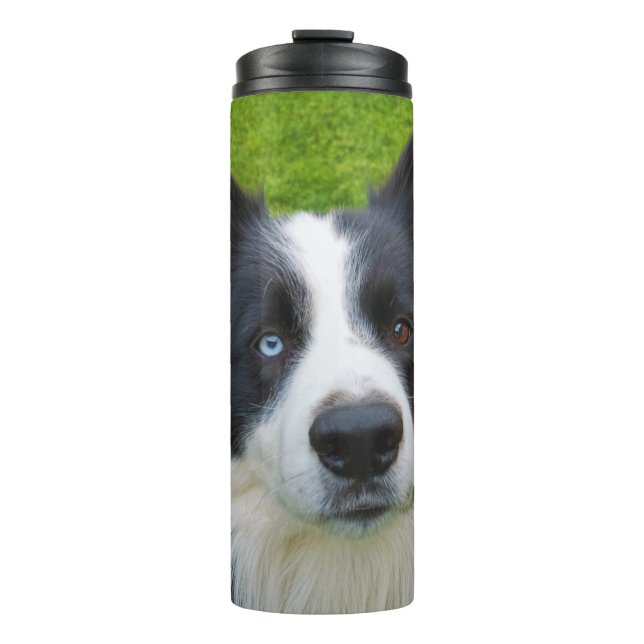 Garrafa Térmica Border Collie (Frente)
