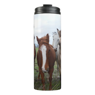 Garrafa Térmica Cabelo Frisky, Quatro Campos De Cavalo,