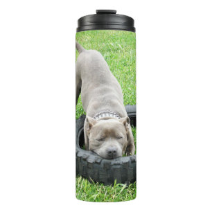 Garrafa Térmica Cachorro Macho Jovem Staffy Brincando Com Seu Pneu