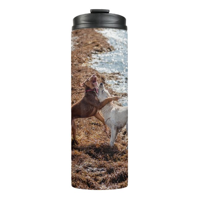 Garrafa Térmica Cães na praia (Frente)