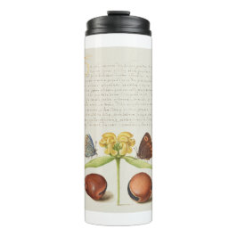 Garrafa Térmica Caligrafia, Jerusalém e feijão