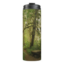 Caminho da Floresta Verde Pacífica em Washington