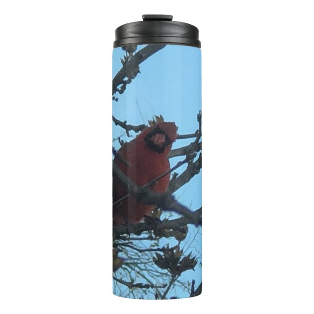 Garrafa Térmica Cardinal (Frente)