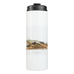 Garrafa Térmica Carolina Shrew House