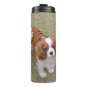 Garrafa Térmica Cheio Cavalier-king-charles-spaniel