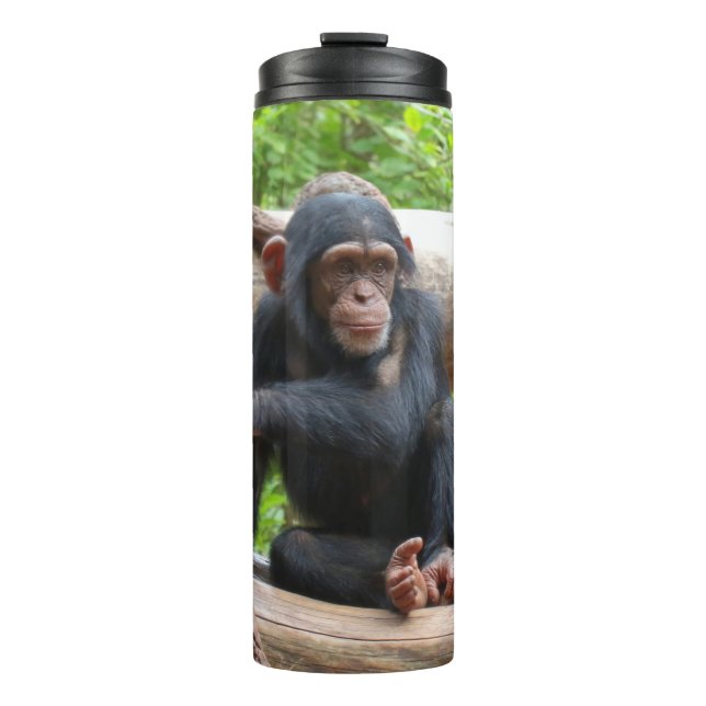 Garrafa Térmica Chimpanzé 001 (Frente)