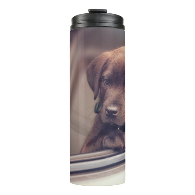 Garrafa Térmica Chocolate Labrador Pupido No Carro (Frente)