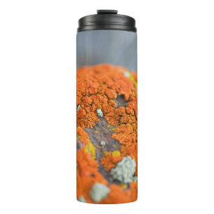 Garrafa Térmica Cinza de musgo de laranja