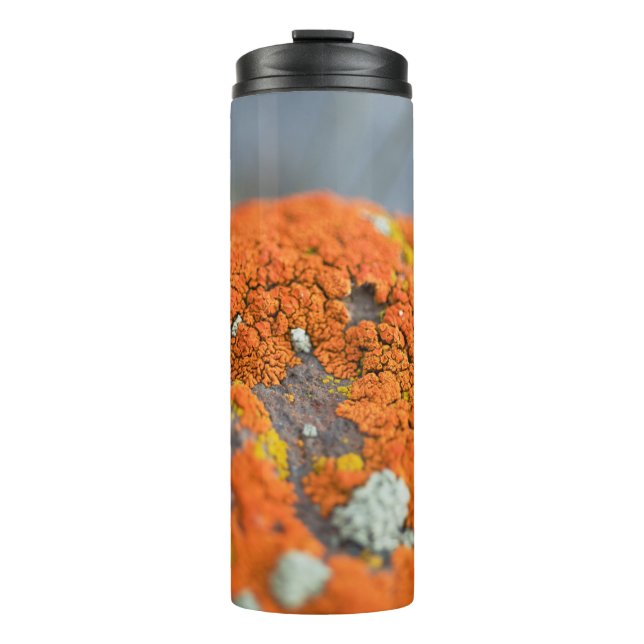 Garrafa Térmica Cinza de musgo de laranja (Frente)