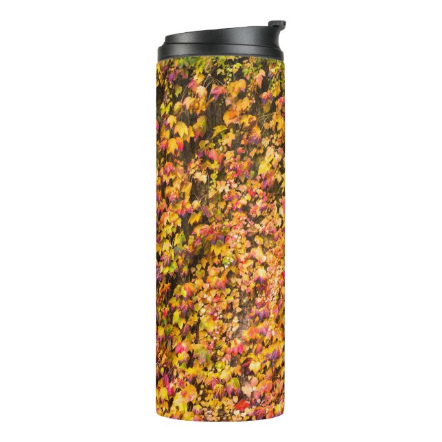 Garrafa Térmica cores de outono dourado parede de hera (Giro à esquerda)