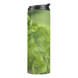 Garrafa Térmica Curling Fern Leaves, Greenerescência, Fundo Desfoc