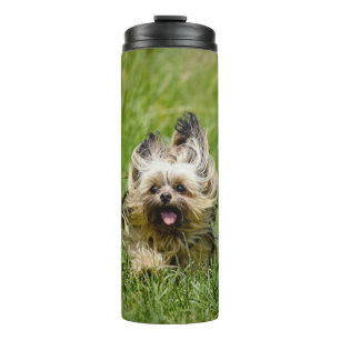 Garrafa Térmica Cute Yorkshire Terrier passando por Grass
