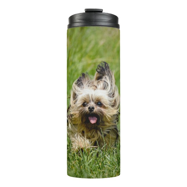 Garrafa Térmica Cute Yorkshire Terrier passando por Grass (Frente)