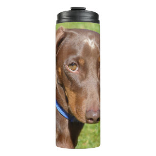 Garrafa Térmica Dachshund