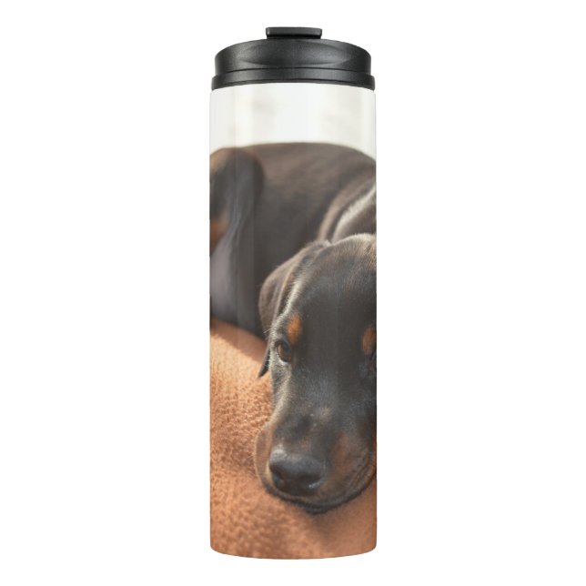 Garrafa Térmica doberman-pinscher-filhote (Frente)