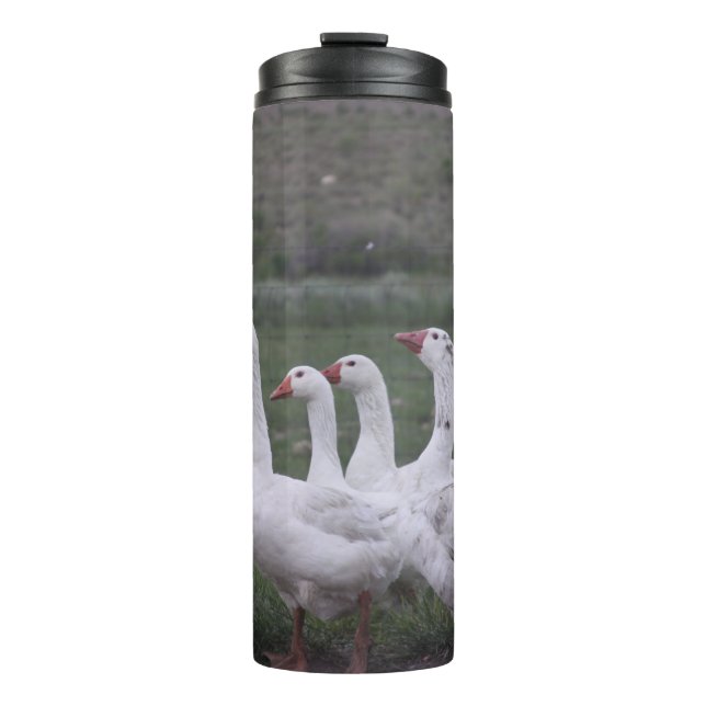 Garrafa Térmica Duck Thermal Tumbler (Frente)