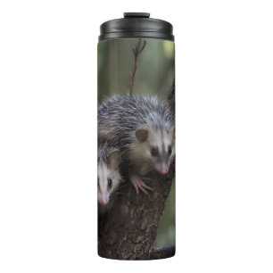 Garrafa Térmica Duplo problema na cobertura: Twin Possum