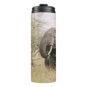 GARRAFA TÉRMICA ELEFANTE COMENDO DE UMA ÁRVORE