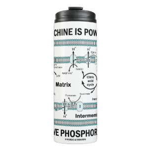 Garrafa Térmica Esta Máquina Acionada Por Fosforilação Oxidativa