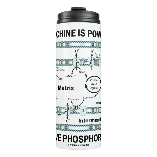 Garrafa Térmica Esta Máquina Acionada Por Fosforilação Oxidativa (Frente)
