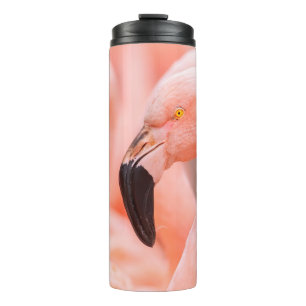 Garrafa Térmica flamingo chileno (Phoenicopterus chilensis), com