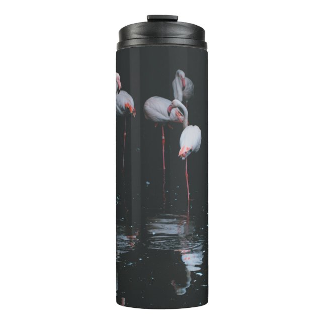GARRAFA TÉRMICA FLAMINGO NO FUNDO ESCURO (Frente)