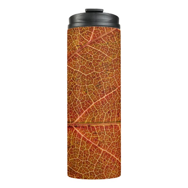 Garrafa Térmica Folha castanha em fotografia de aproximação (Frente)