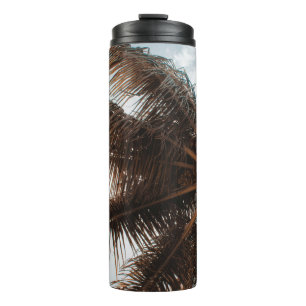 Garrafa Térmica Foto de baixo ângulo do coco